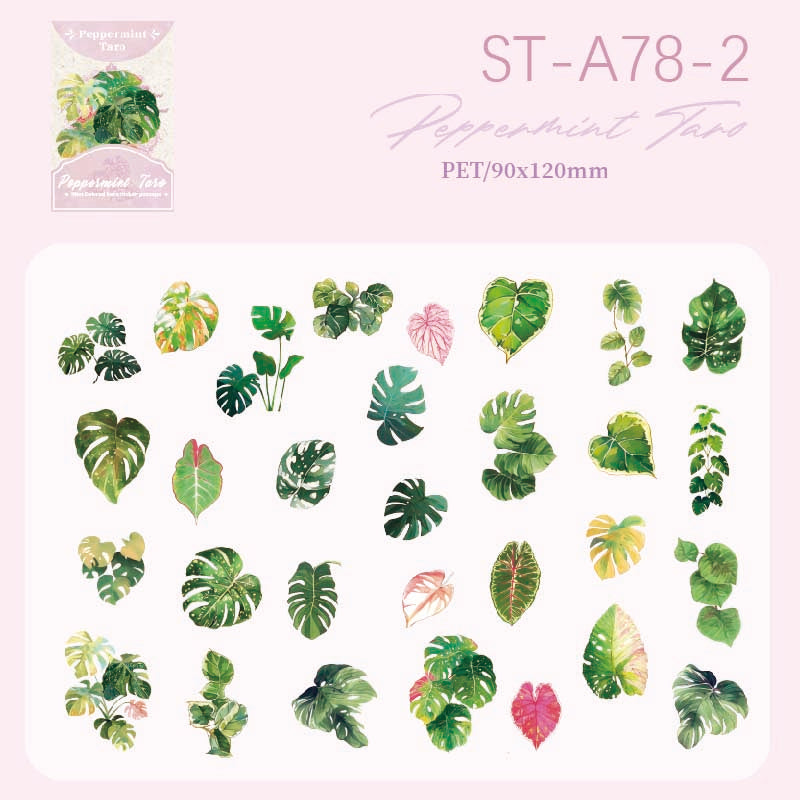 Summer Rainforest Big Stickers 30 pcs