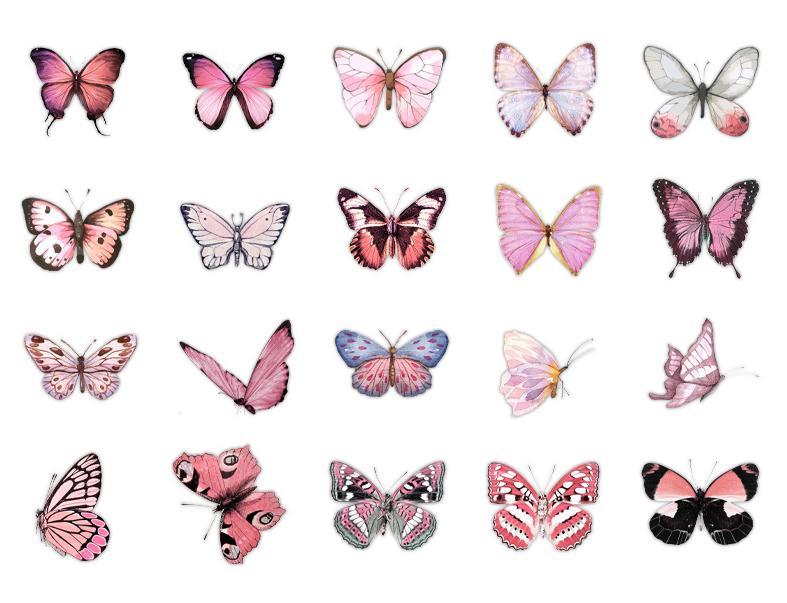 Butterflies whisper series PET stickers 40PCS