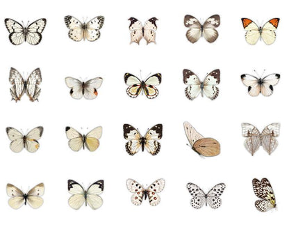 Butterflies whisper series PET stickers 40PCS